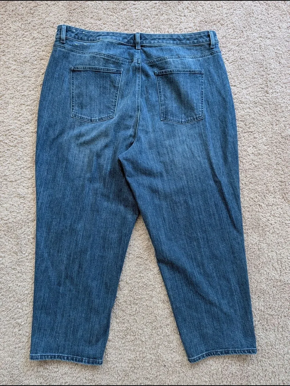 Talbots Womens Stardust Wash Blue Sequin Stripe Straight Leg Jeans Size 22W